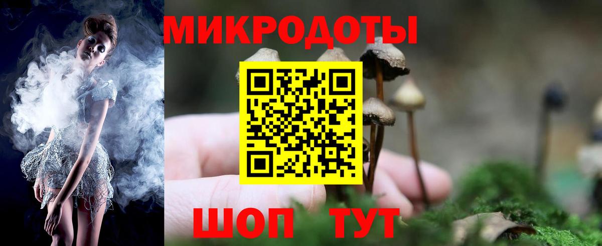 Будённовск  Псилоцибиновые грибы GOLDEN TEACHER  Псилоцибиновые грибы мицелий  Вход с VPN 